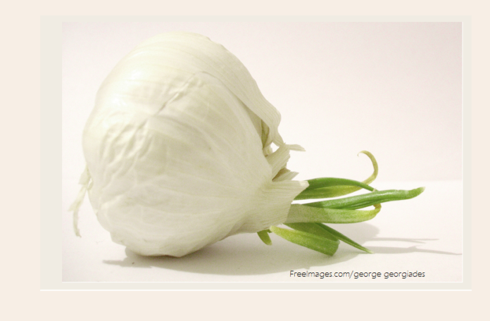 Health Benefits of Garlic